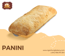 Panini